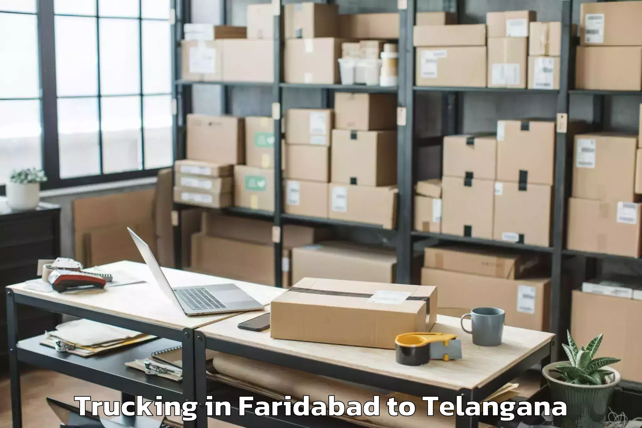 Book Faridabad to Hyderabad Pharma City Trucking